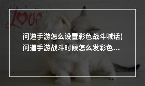 问道手游怎么设置彩色战斗喊话(问道手游战斗时候怎么发彩色字)