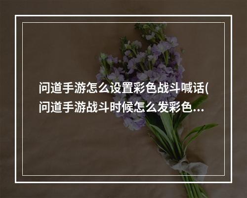 问道手游怎么设置彩色战斗喊话(问道手游战斗时候怎么发彩色字)