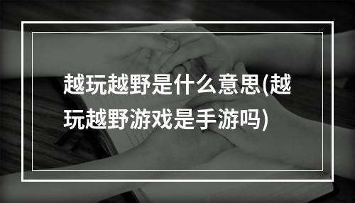 越玩越野是什么意思(越玩越野游戏是手游吗)