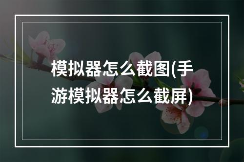 模拟器怎么截图(手游模拟器怎么截屏)