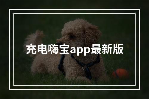 充电嗨宝app最新版