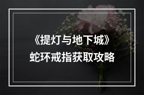 《提灯与地下城》蛇环戒指获取攻略