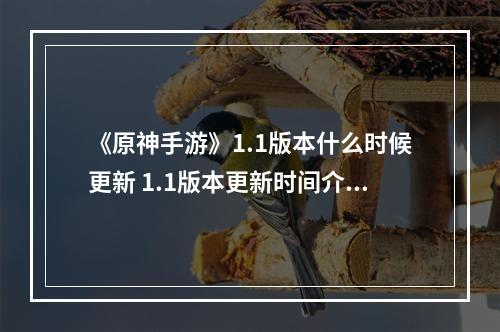 《原神手游》1.1版本什么时候更新 1.1版本更新时间介绍