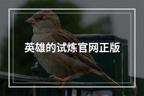 英雄的试炼官网正版