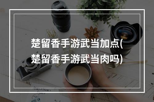 楚留香手游武当加点(楚留香手游武当肉吗)