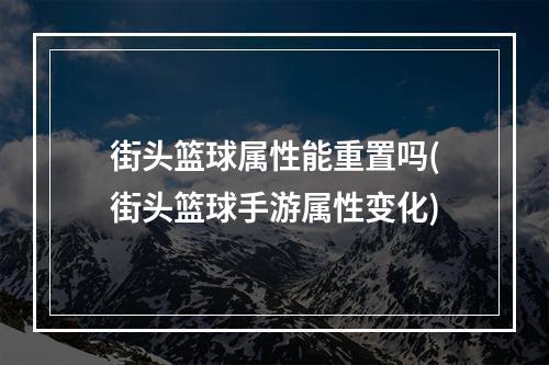 街头篮球属性能重置吗(街头篮球手游属性变化)