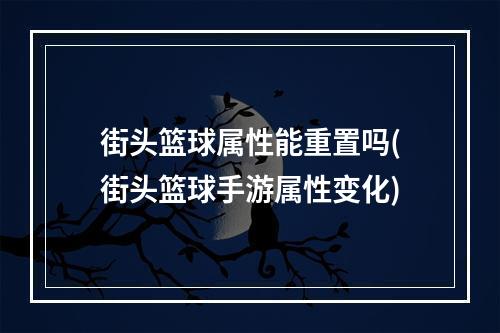 街头篮球属性能重置吗(街头篮球手游属性变化)