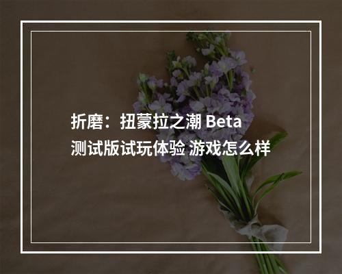 折磨：扭蒙拉之潮 Beta测试版试玩体验 游戏怎么样