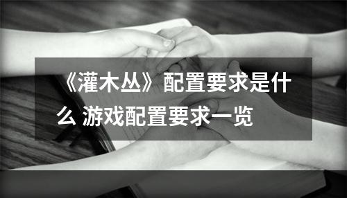 《灌木丛》配置要求是什么 游戏配置要求一览