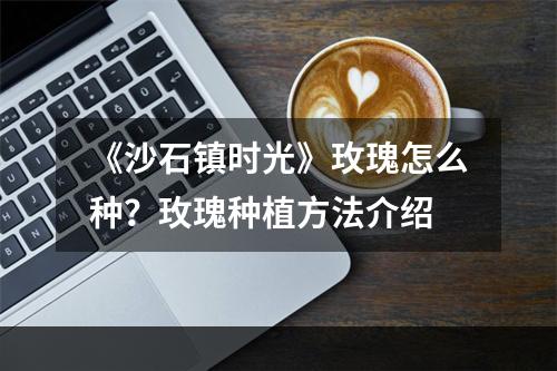 《沙石镇时光》玫瑰怎么种？玫瑰种植方法介绍