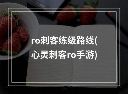 ro刺客练级路线(心灵刺客ro手游)