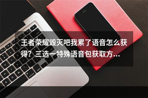 王者荣耀毁灭吧我累了语音怎么获得？三选一特殊语音包获取方法[多图]