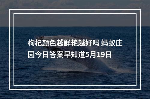 枸杞颜色越鲜艳越好吗 蚂蚁庄园今日答案早知道5月19日