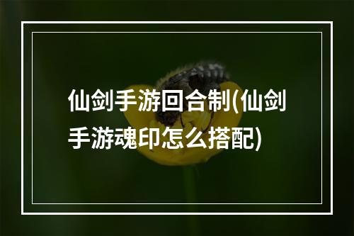 仙剑手游回合制(仙剑手游魂印怎么搭配)