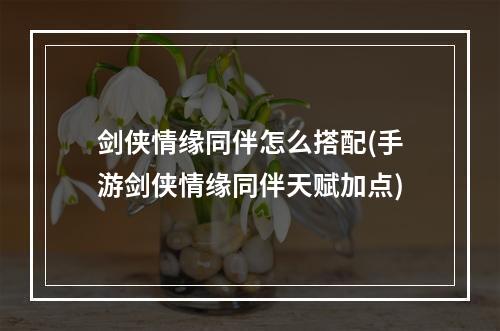 剑侠情缘同伴怎么搭配(手游剑侠情缘同伴天赋加点)