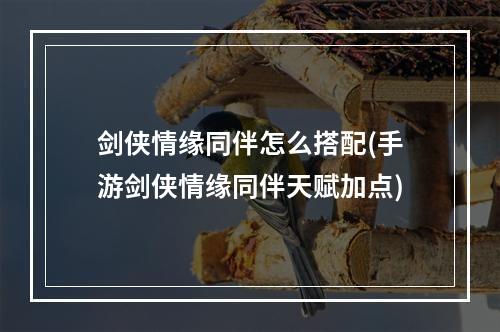 剑侠情缘同伴怎么搭配(手游剑侠情缘同伴天赋加点)