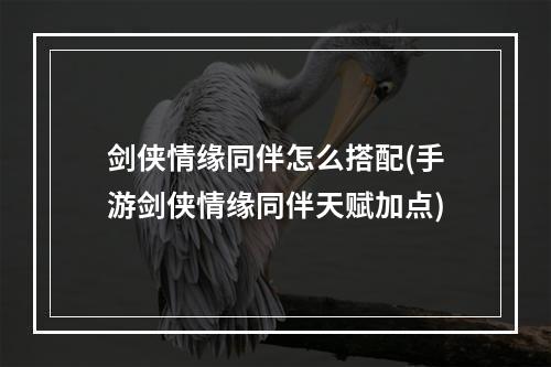 剑侠情缘同伴怎么搭配(手游剑侠情缘同伴天赋加点)