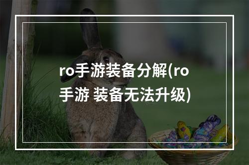 ro手游装备分解(ro手游 装备无法升级)