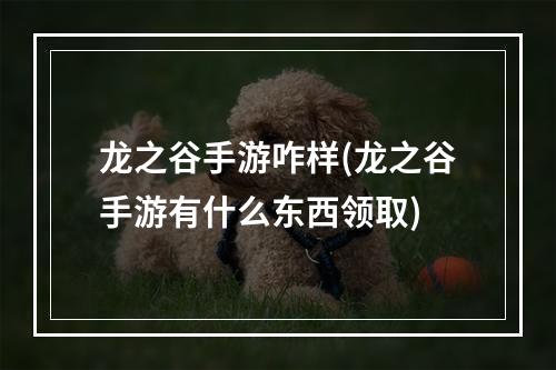 龙之谷手游咋样(龙之谷手游有什么东西领取)