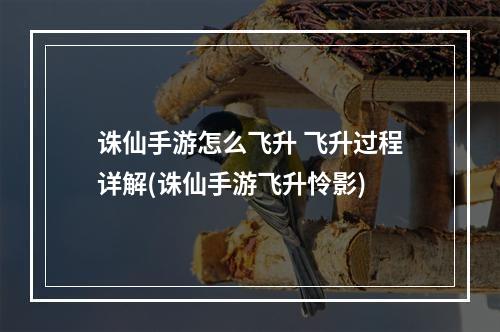 诛仙手游怎么飞升 飞升过程详解(诛仙手游飞升怜影)