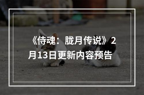 《侍魂：胧月传说》2月13日更新内容预告