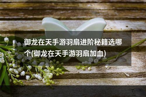 御龙在天手游羽扇进阶秘籍选哪个(御龙在天手游羽扇加血)