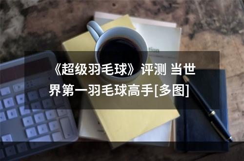 《超级羽毛球》评测 当世界第一羽毛球高手[多图]