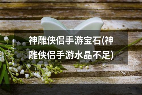 神雕侠侣手游宝石(神雕侠侣手游水晶不足)