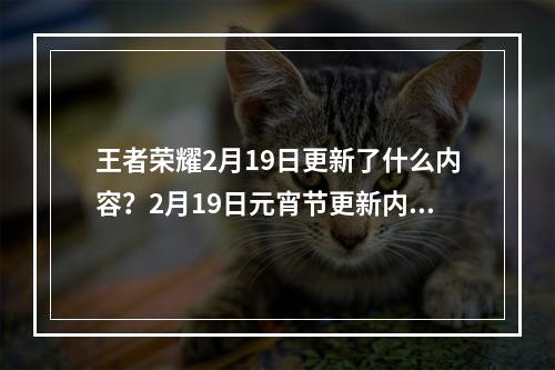 王者荣耀2月19日更新了什么内容？2月19日元宵节更新内容汇总[视频][多图]