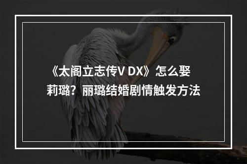 《太阁立志传V DX》怎么娶莉璐？丽璐结婚剧情触发方法