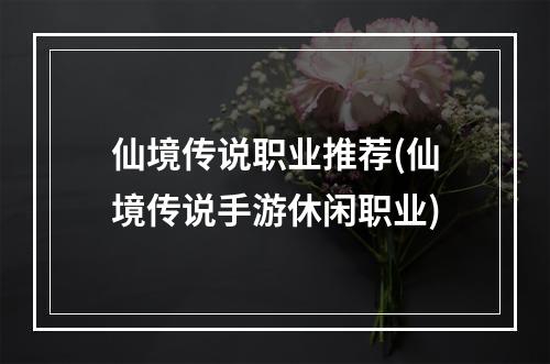 仙境传说职业推荐(仙境传说手游休闲职业)