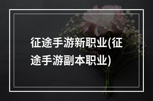 征途手游新职业(征途手游副本职业)