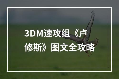 3DM速攻组《卢修斯》图文全攻略