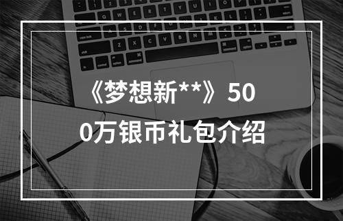 《梦想新**》500万银币礼包介绍