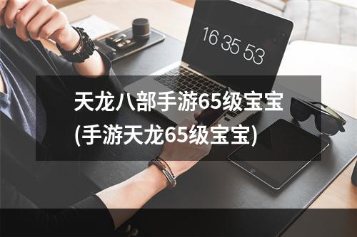 天龙八部手游65级宝宝(手游天龙65级宝宝)