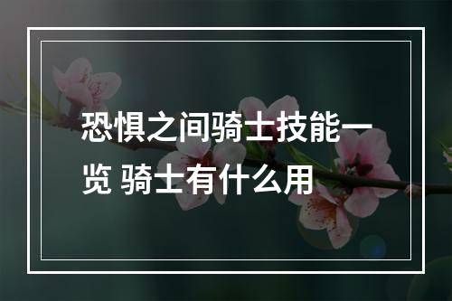 恐惧之间骑士技能一览 骑士有什么用