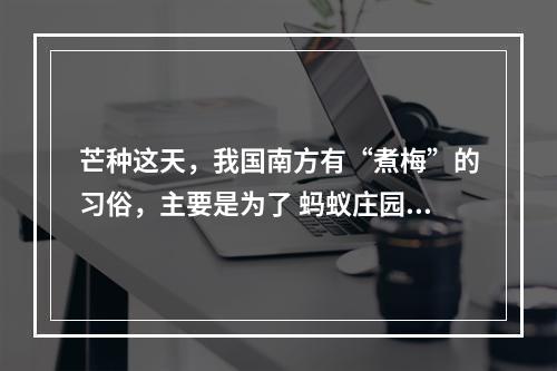 芒种这天，我国南方有“煮梅”的习俗，主要是为了 蚂蚁庄园今日答案早知道6月6日