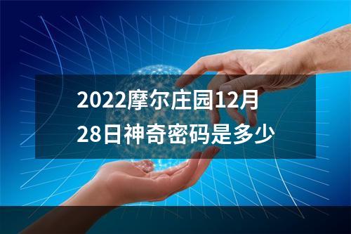 2022摩尔庄园12月28日神奇密码是多少