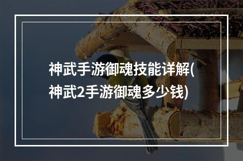 神武手游御魂技能详解(神武2手游御魂多少钱)