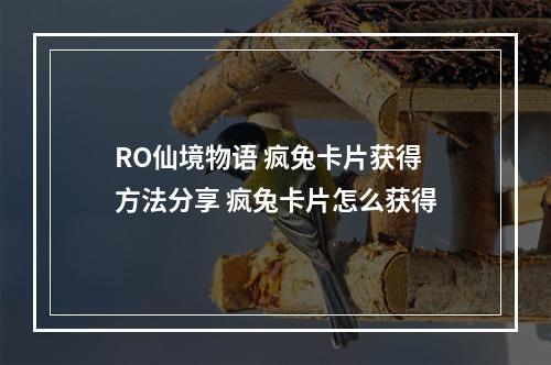 RO仙境物语 疯兔卡片获得方法分享 疯兔卡片怎么获得