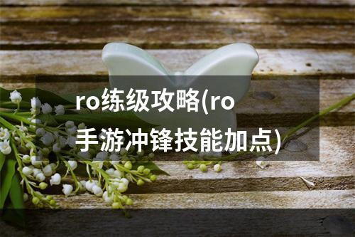 ro练级攻略(ro手游冲锋技能加点)