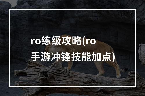 ro练级攻略(ro手游冲锋技能加点)