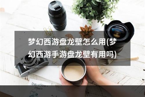 梦幻西游盘龙壁怎么用(梦幻西游手游盘龙壁有用吗)