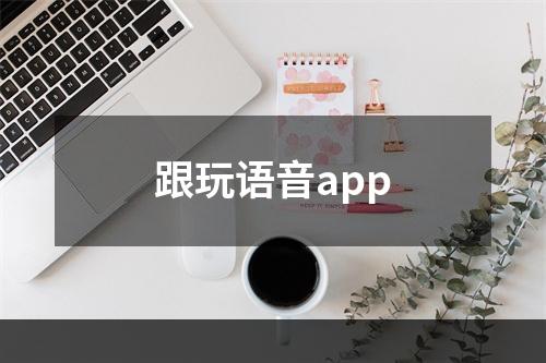 跟玩语音app