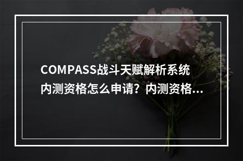 COMPASS战斗天赋解析系统内测资格怎么申请？内测资格申请攻略[视频][多图]