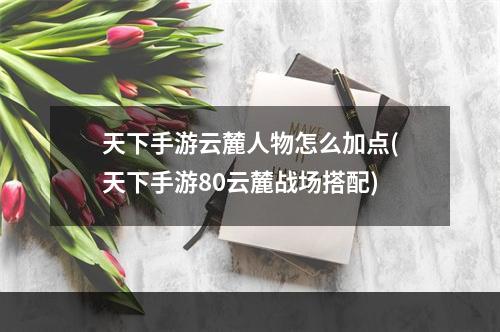 天下手游云麓人物怎么加点(天下手游80云麓战场搭配)