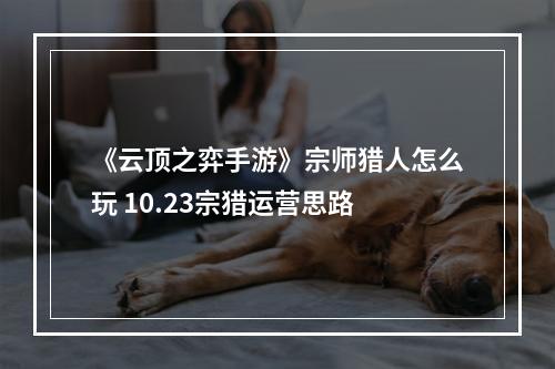 《云顶之弈手游》宗师猎人怎么玩 10.23宗猎运营思路