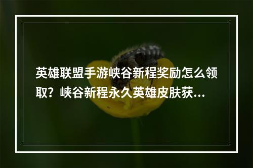 英雄联盟手游峡谷新程奖励怎么领取？峡谷新程永久英雄皮肤获取攻略[多图]