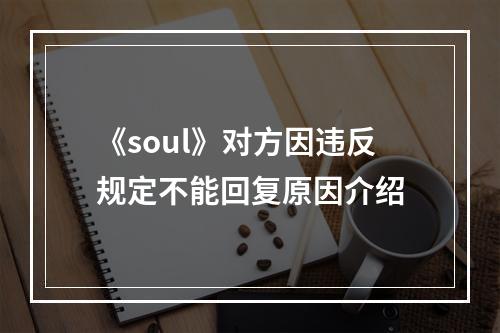 《soul》对方因违反规定不能回复原因介绍