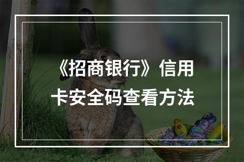 《招商银行》信用卡安全码查看方法